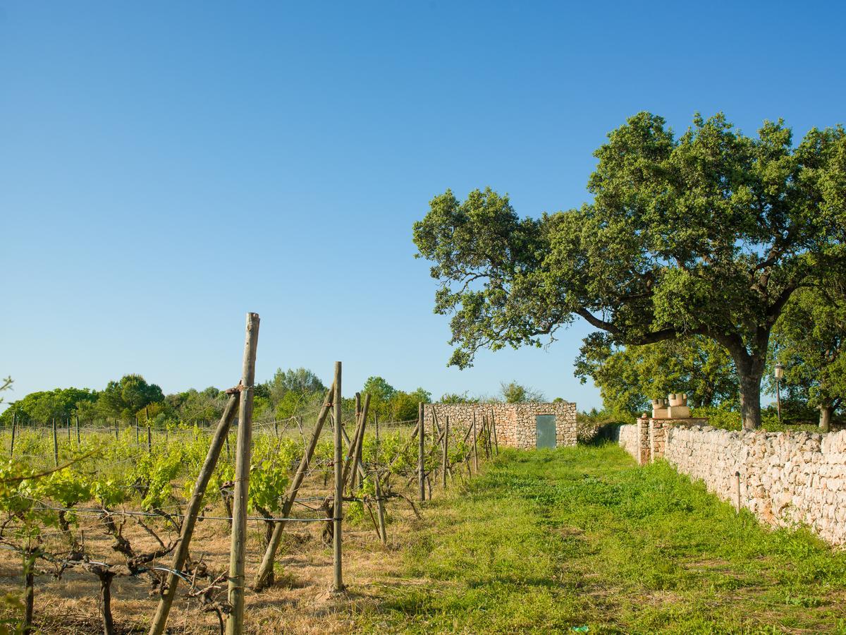 Sa Bassa Rotja Ecoturisme ξενώνας Porreres Εξωτερικό φωτογραφία